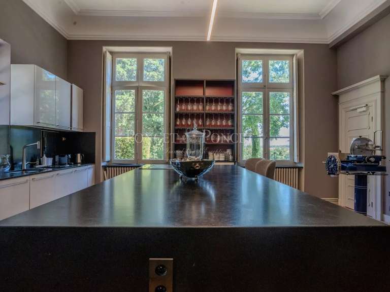 Château Toulouse - 11 chambres - 1500m²