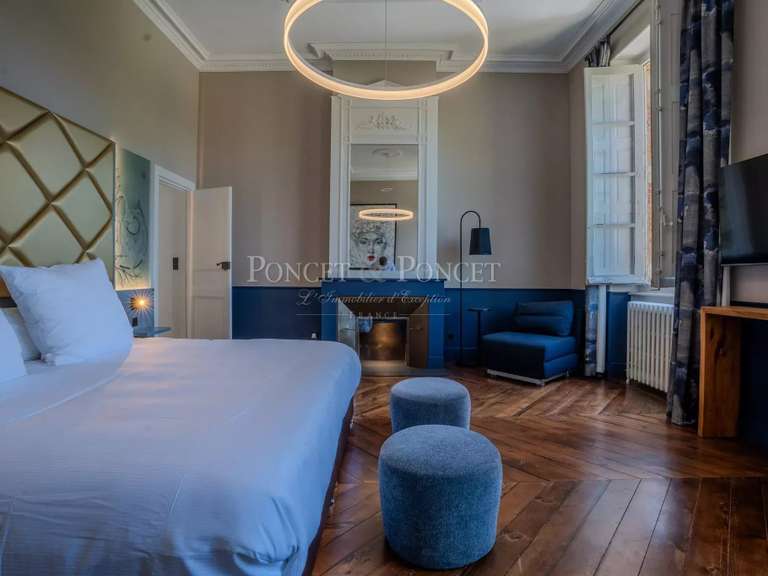 Château Toulouse - 11 chambres - 1500m²