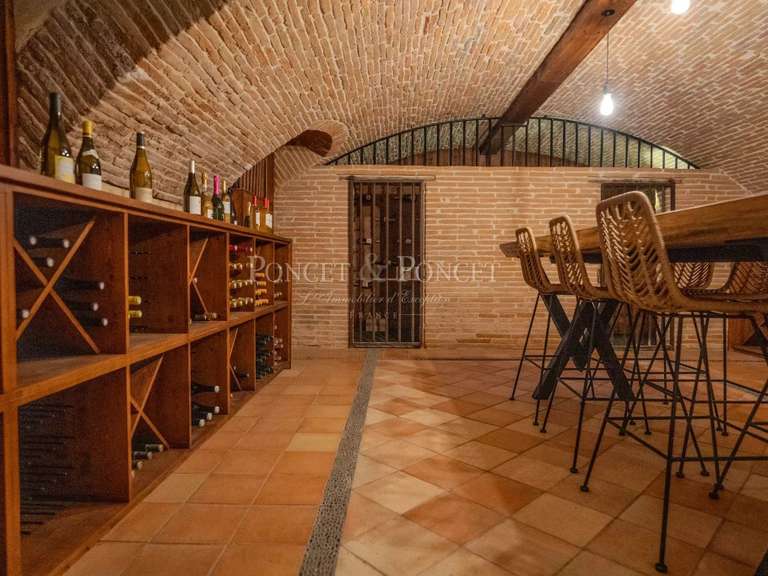 Château Toulouse - 11 chambres - 1500m²
