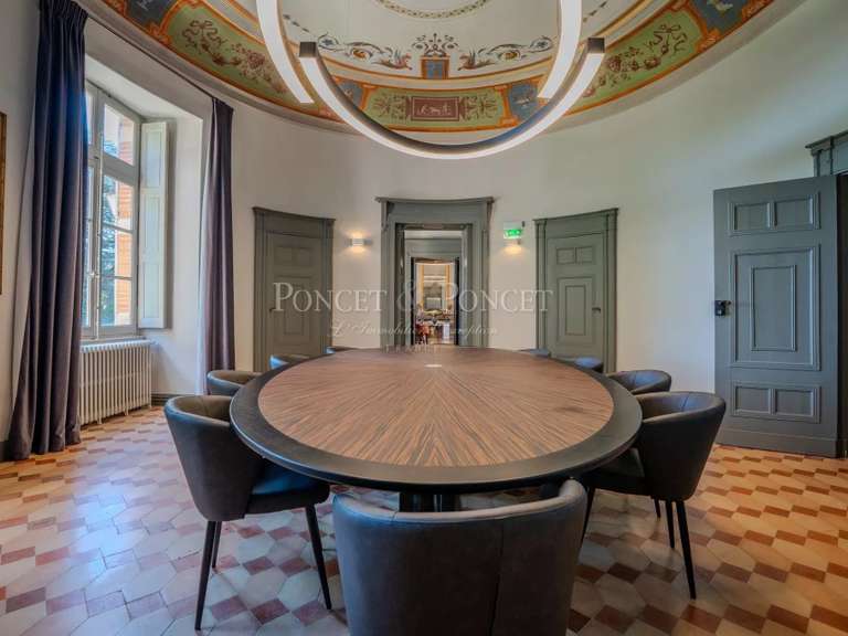 Château Toulouse - 11 chambres - 1500m²