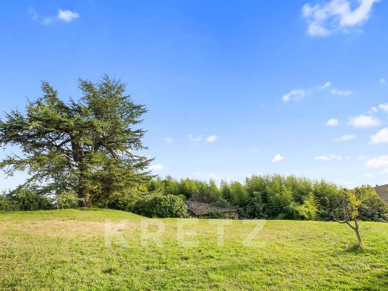 Maison Toulouse - 4 chambres - 312m²