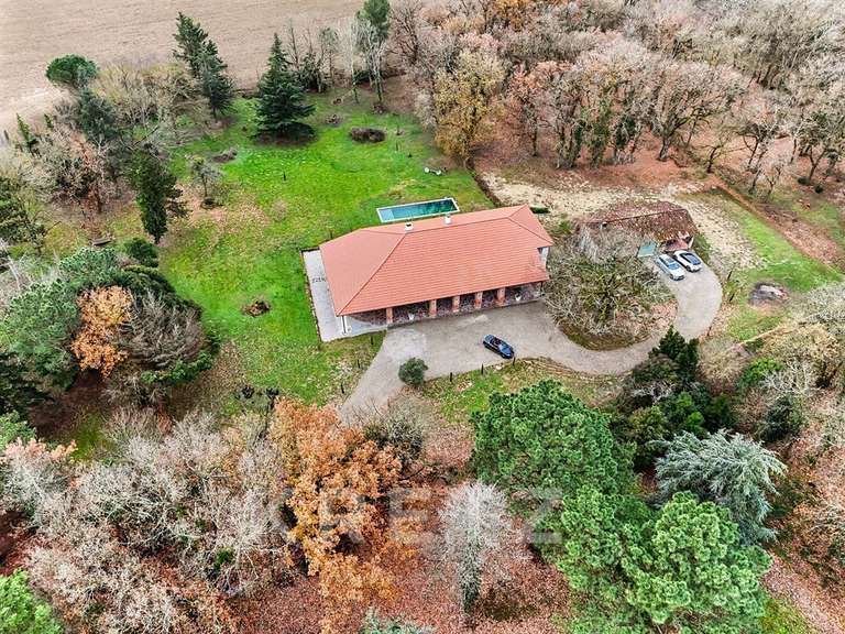 Maison Toulouse - 5 chambres - 310m²