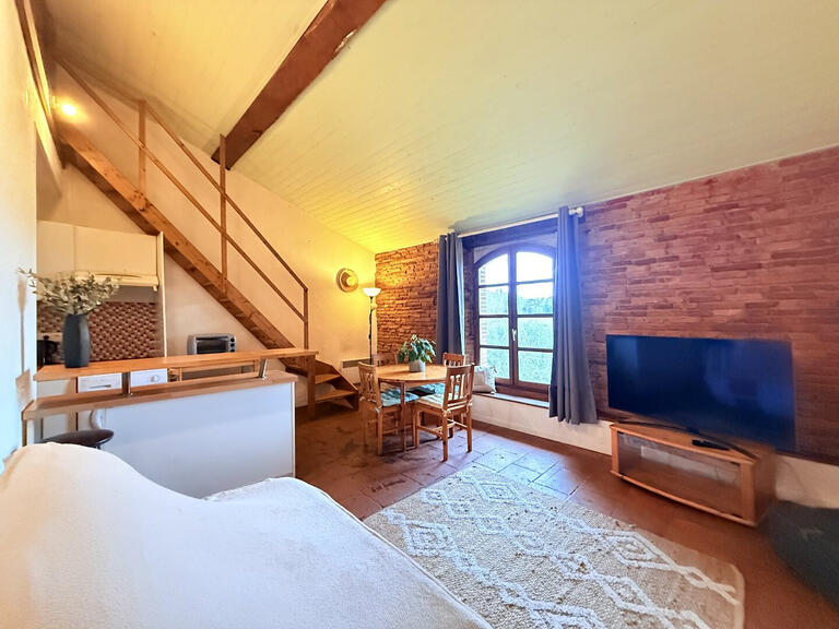 Propriété Toulouse - 5 chambres - 250m²