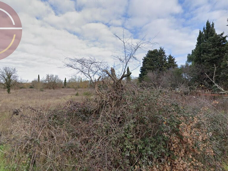 Vente Terrain Toulouse