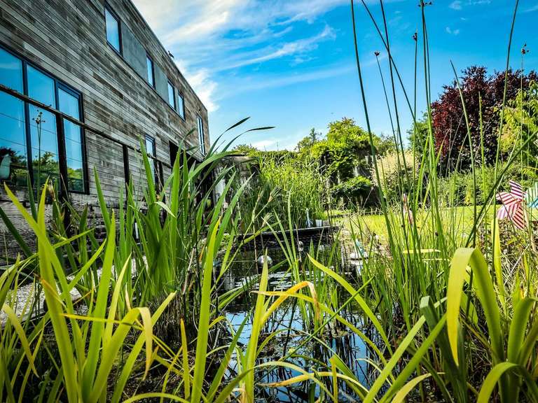 House Tourmignies - 4 bedrooms