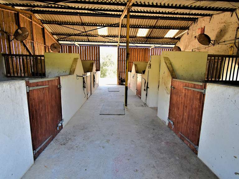 Maison Tournon-d'Agenais - 7 chambres - 470m²