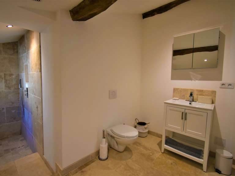 Maison Tournon-d'Agenais - 7 chambres - 470m²