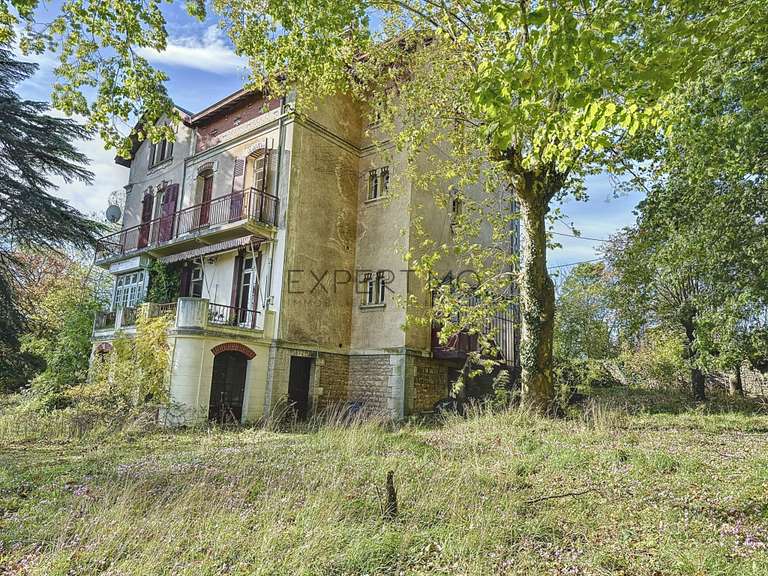 Maison Tournus - 6 chambres - 331m²