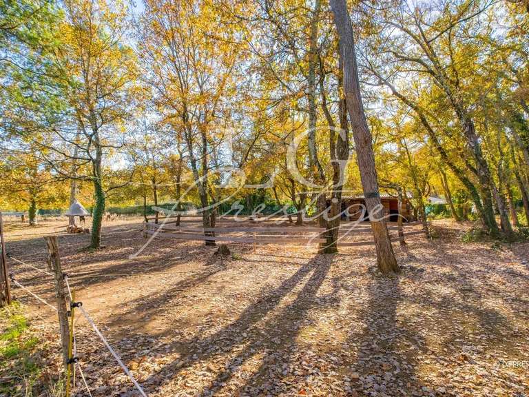 Maison Tourrettes - 173m²