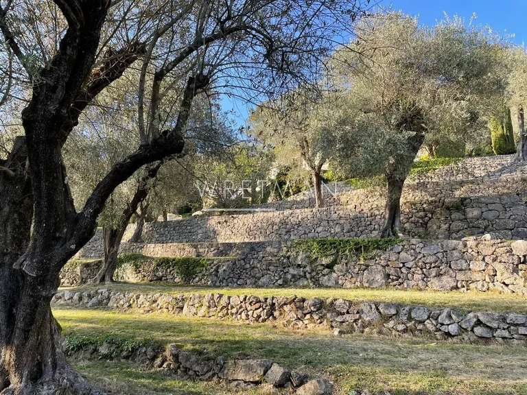 Maison Tourrettes-sur-Loup - 7 chambres - 310m²