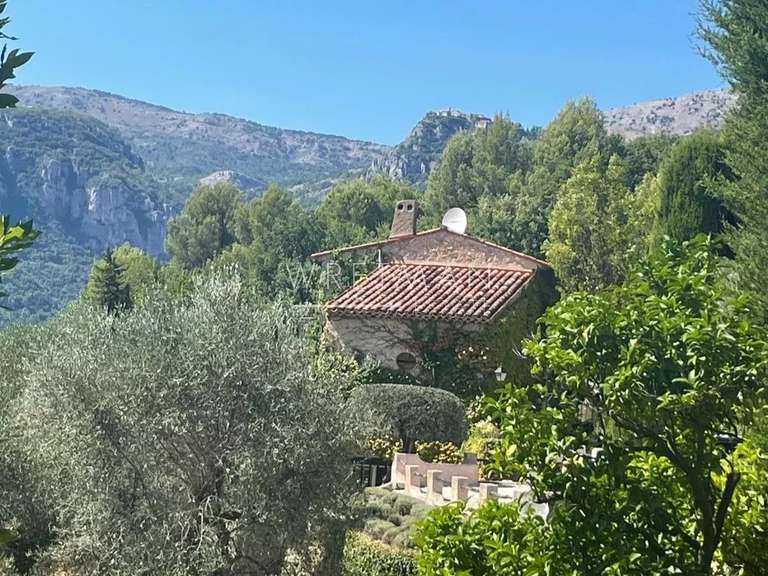 Maison Tourrettes-sur-Loup - 6 chambres - 310m²