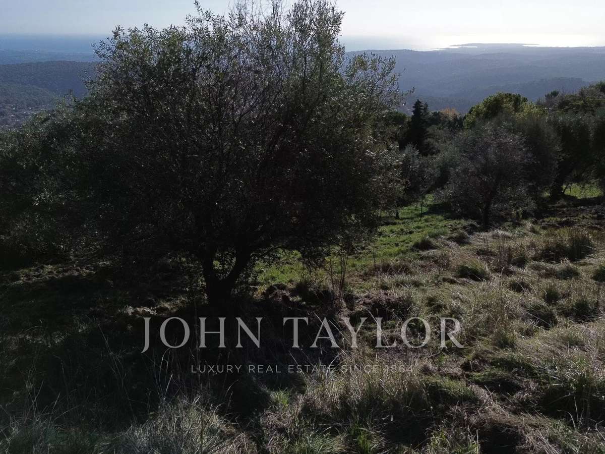 Terrain Tourrettes-sur-Loup