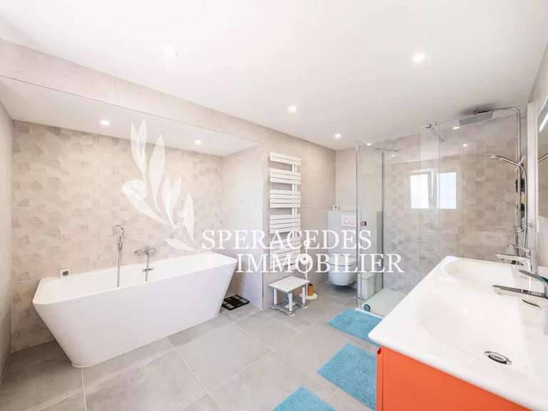 Villa Tourrettes-sur-Loup - 4 chambres - 248m²
