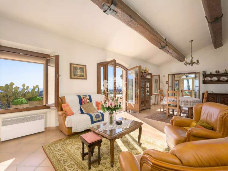 Villa avec Vue sur mer Tourrettes-sur-Loup - 4 chambres - 275m²