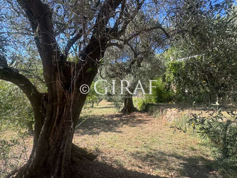 Villa Tourrettes-sur-Loup - 5 chambres - 270m²