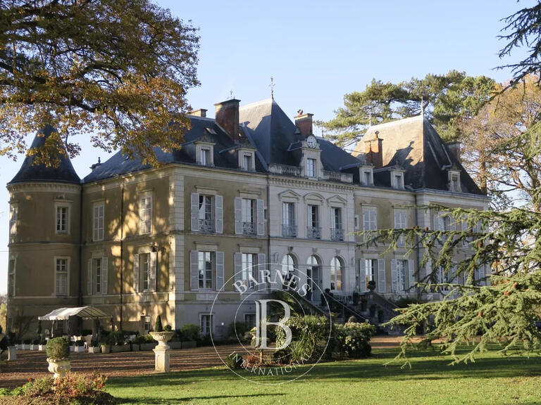 Vente Château Tours - 17 chambres