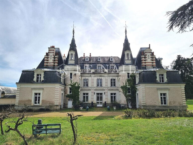 Vente Château Tours - 12 chambres