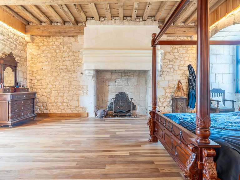 Château Tours - 5 chambres - 970m²