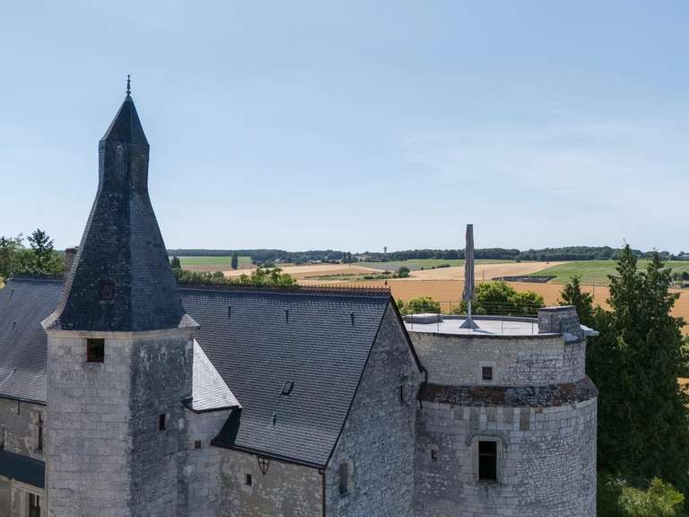 Château Tours - 5 chambres - 970m²