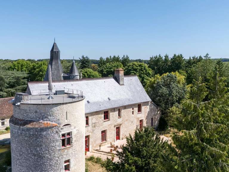Château Tours - 5 chambres - 970m²