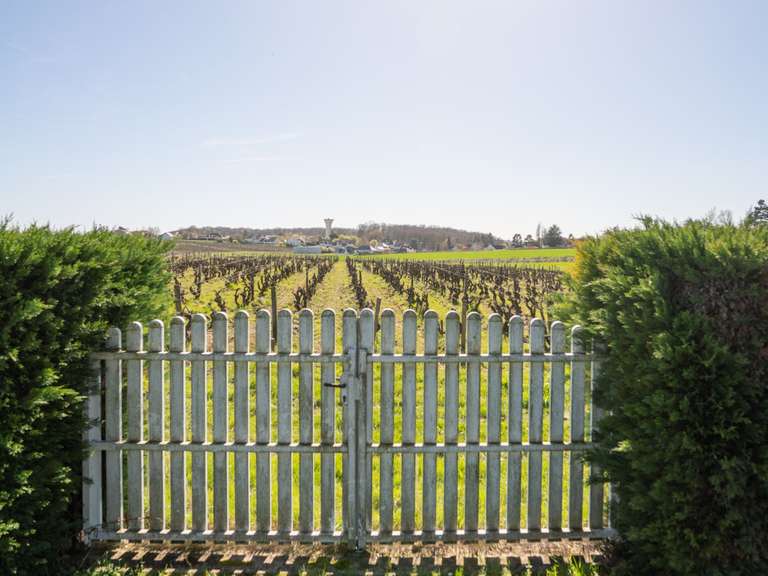 Maison Tours - 6 chambres - 386m²