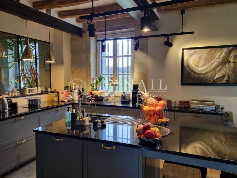 Moulin Tours - 8 chambres - 458m²