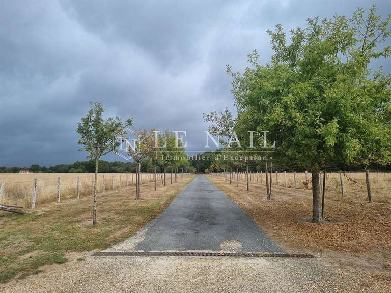 Moulin Tours - 8 chambres - 458m²