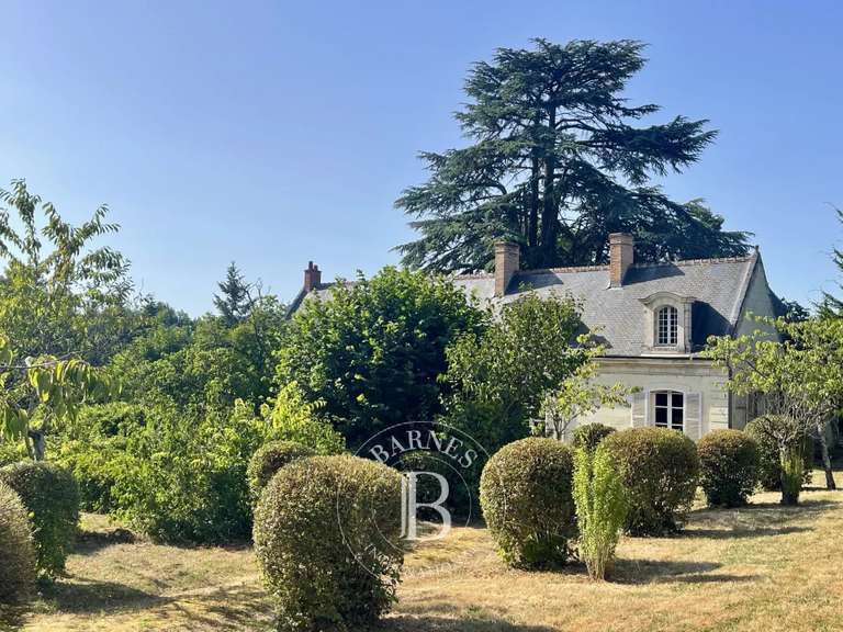Propriété Tours - 9 chambres - 390m²