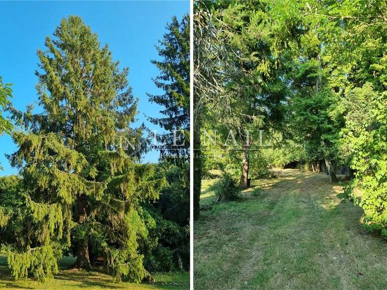 Property Tours - 6 bedrooms - 150m²