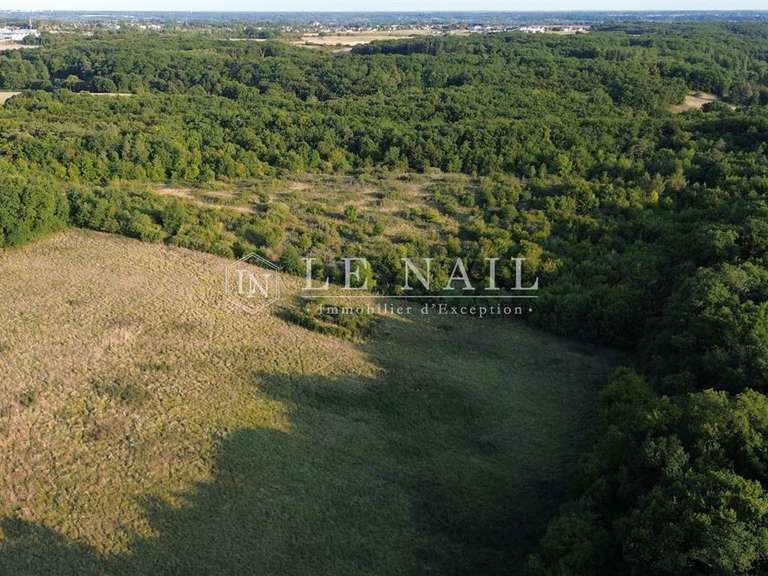 Property Tours - 6 bedrooms - 150m²