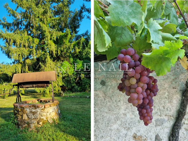 Property Tours - 6 bedrooms - 150m²