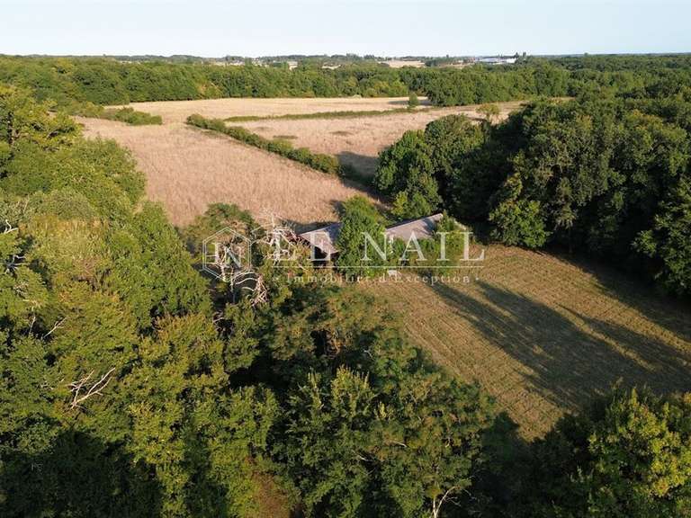 Property Tours - 6 bedrooms - 150m²