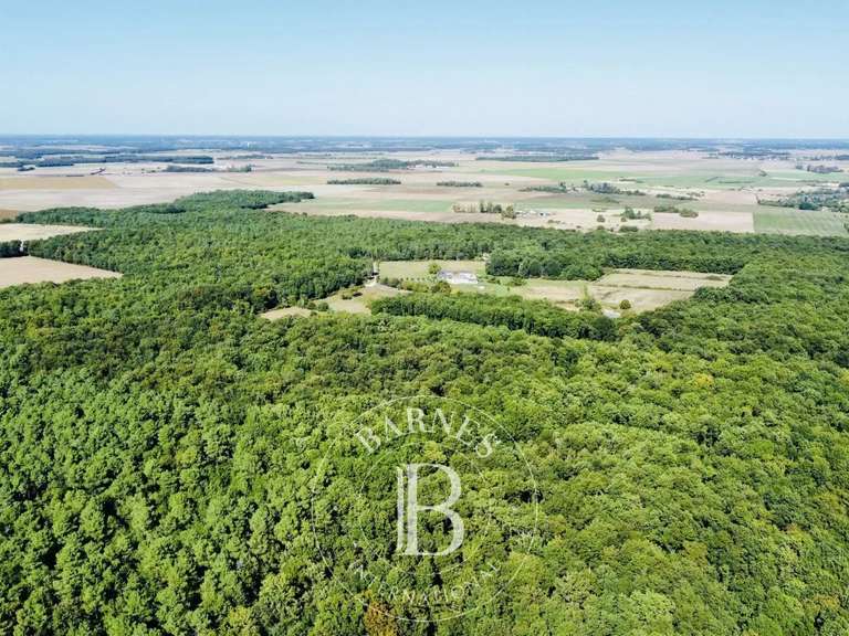 Propriété Tours - 5 chambres