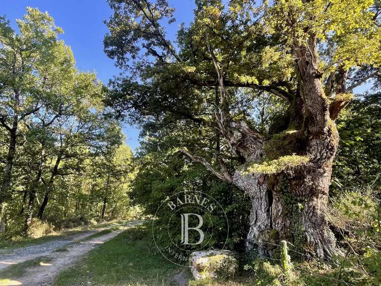 Propriété Tours - 5 chambres