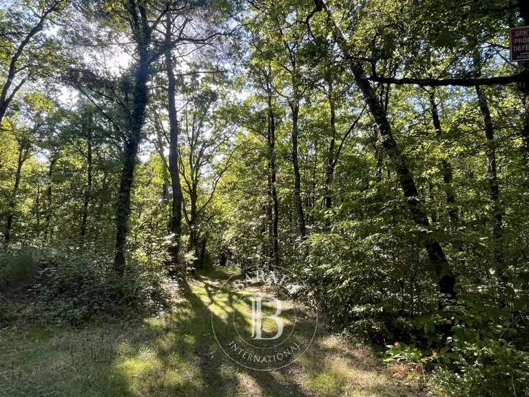 Propriété Tours - 5 chambres