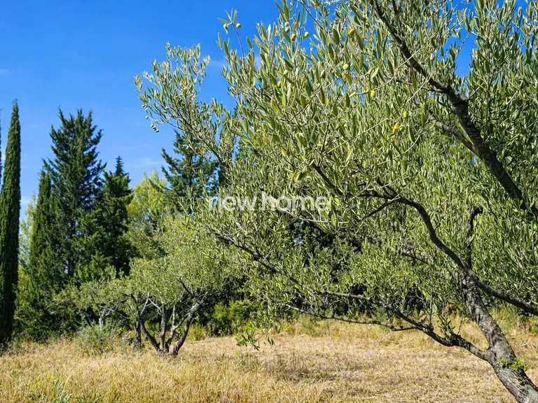 Maison Tourtour - 3 chambres - 150m²