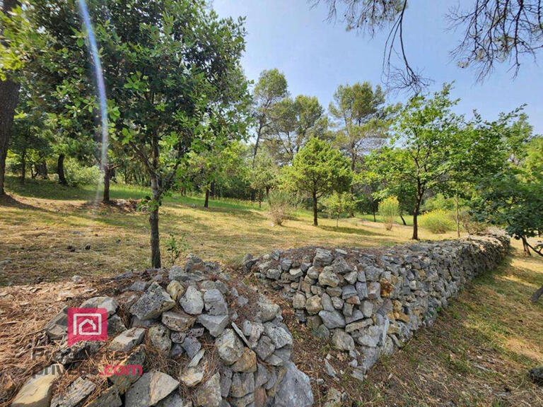 Maison Trans-en-Provence - 4 chambres