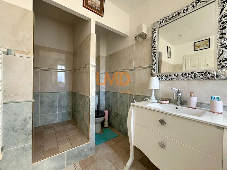 House Trans-en-Provence - 5 bedrooms - 286m²