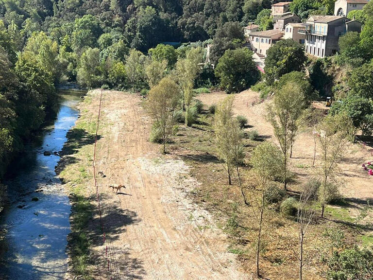 Vente Propriété Trans-en-Provence - 3 chambres