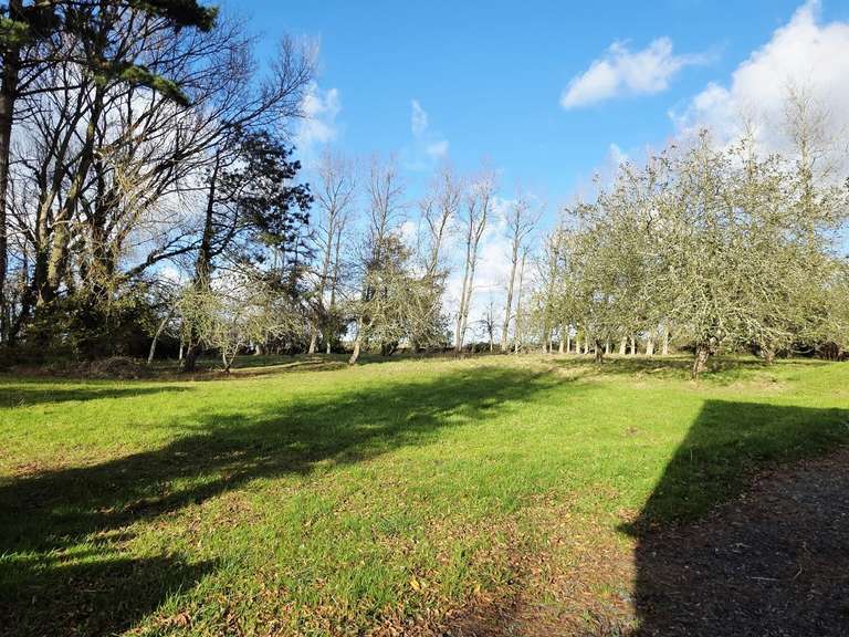 Maison Trédrez-Locquémeau - 200m²