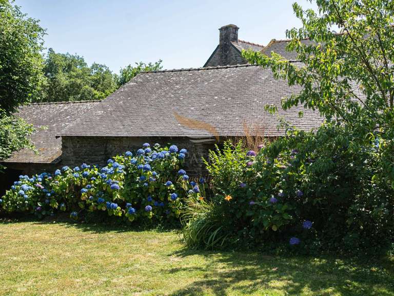 Maison Treffléan - 4 chambres
