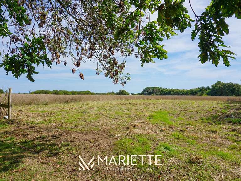House Trégunc - 7 bedrooms