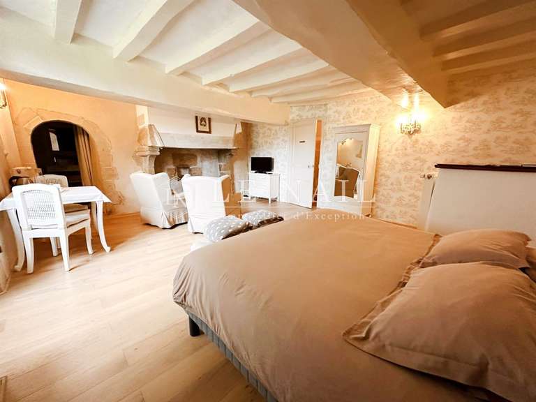 Château Treillières - 6 chambres - 500m²