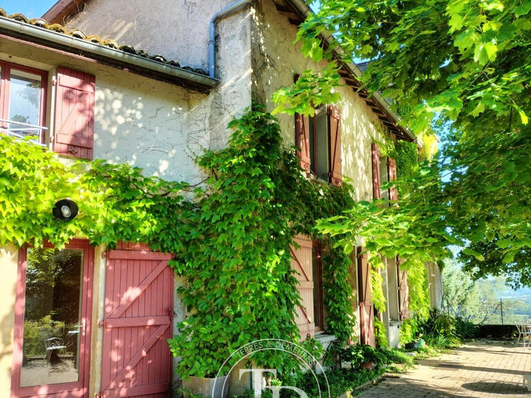 Property Trévoux - 8 bedrooms
