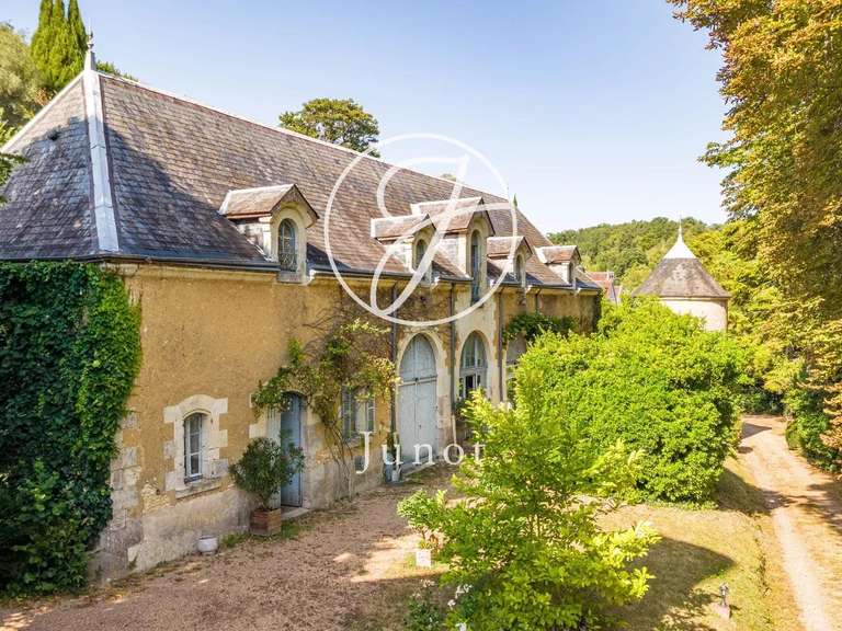 Château Troo - 13 chambres - 1320m²