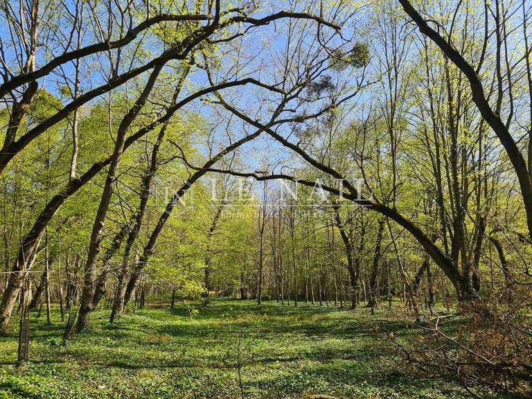 Château Troyes - 15 chambres - 1500m²
