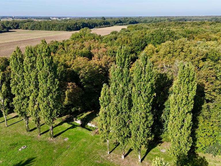 Manoir Truyes - 18 chambres - 794m²