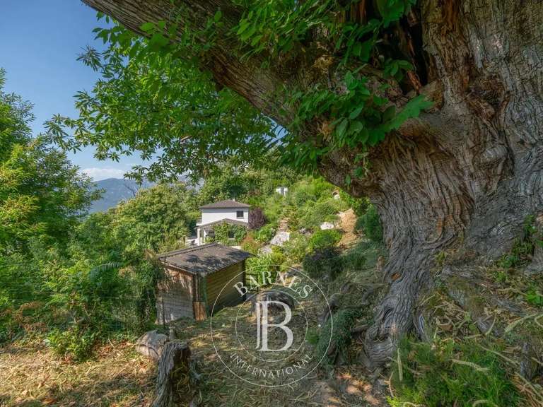 Villa Ucciani - 1 chambre - 165m²