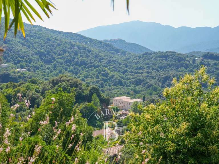 Villa Ucciani - 1 chambre - 165m²