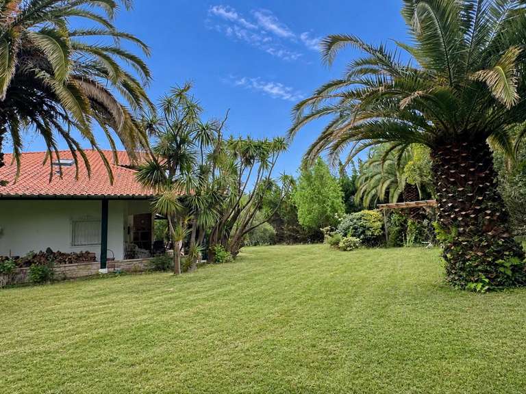 Maison Urrugne - 4 chambres - 292m²